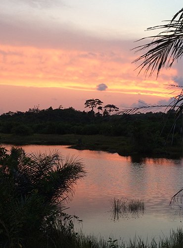 Welcome to the Owl Roost Sunset in Mole National Park, Ghana